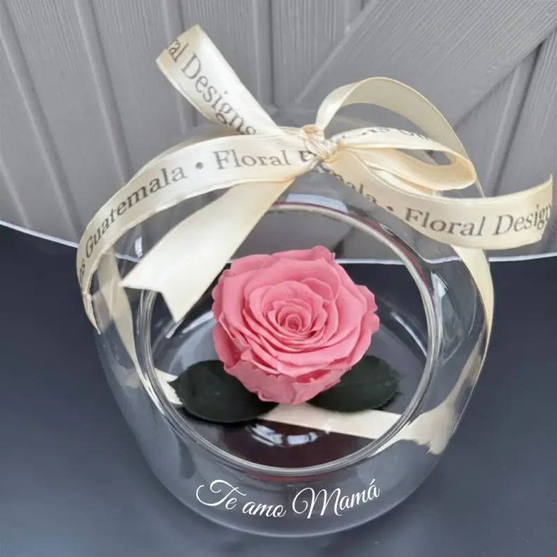 Rosa preservada Mother´s Day