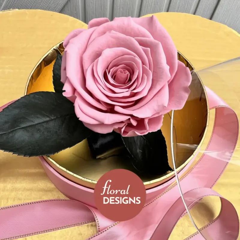 Rosa Preservada en Caja acrílica 🌷 Rosada