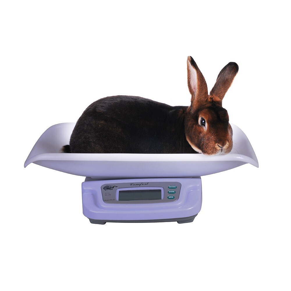 Kaninchen-Digitalwaage