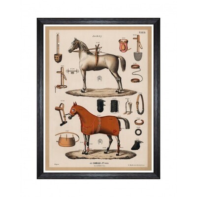 THE RIDING EQUIPMENT I 60x80 PICTURE