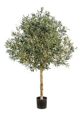 NATURAL OLIVE TOPIARY TREE WITH FRUITS 150 CM