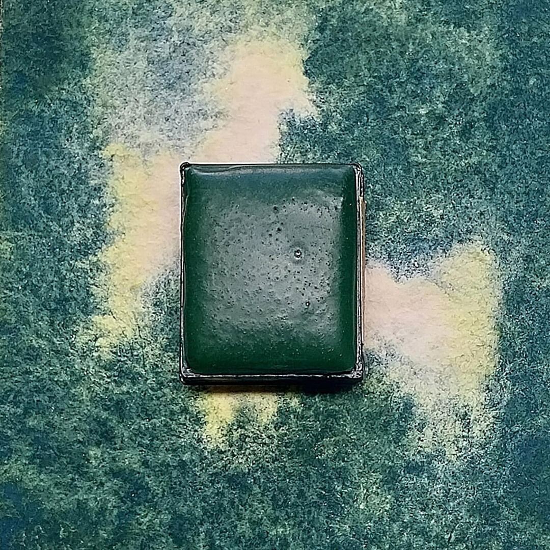 Mugwort Splitting watercolour