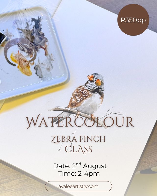 Watercolour zebra finch