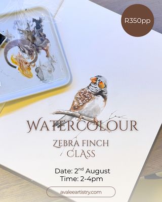 Watercolour zebra finch