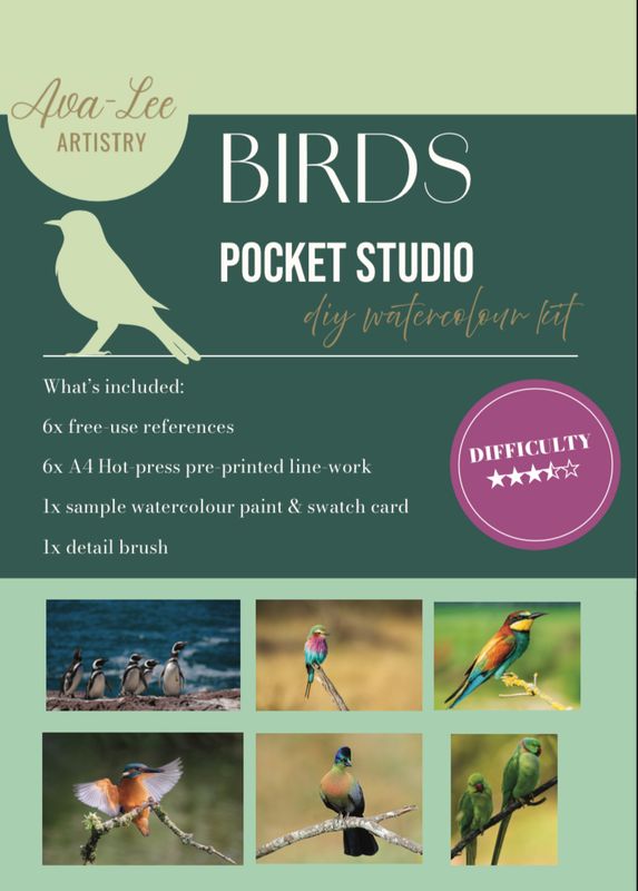 (Pre order) Pocket studio bird edition.