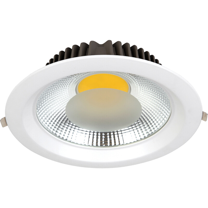 LED Ceiling Light NonDimmable (D1W) ESS