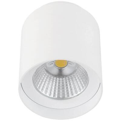 LED Ceiling Light Non-Dimmable (3W D4W-32)