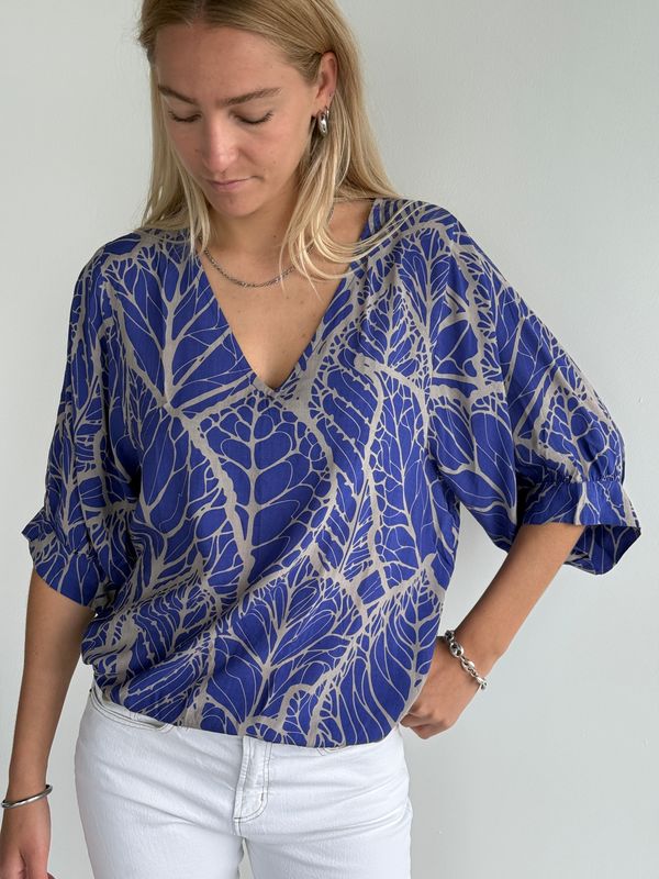 Anna Top 0294 leaf BS6-214