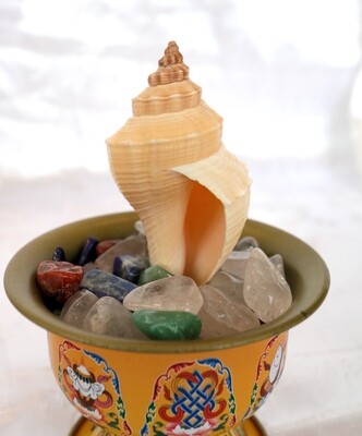 Eight Offerings: Conch Shell (Music) Eight Offerings: Conch Shell (Music)