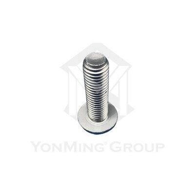 PROPERLLER SHAFT FLANGE SCREW