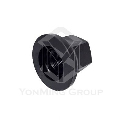 WHEEL NUT