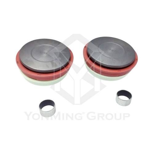 CALIPER PISTON KIT (69MM)