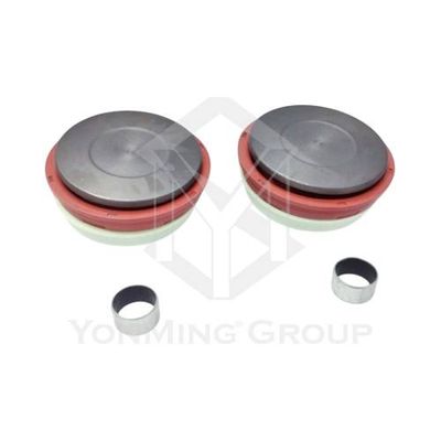 CALIPER PISTON KIT (69MM)