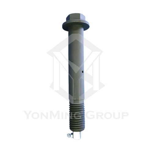 FLANGE SCREW