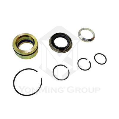 CABIN TILT CYLINDER REPAIR KIT WITH PISTON (40MM)