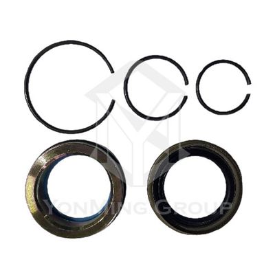 CABIN TILT CYLINDER (RAM) SEAL REPAIR KIT