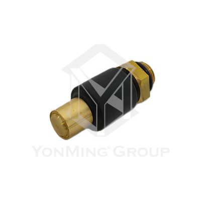 SAFETY VALVE (15 BAR)