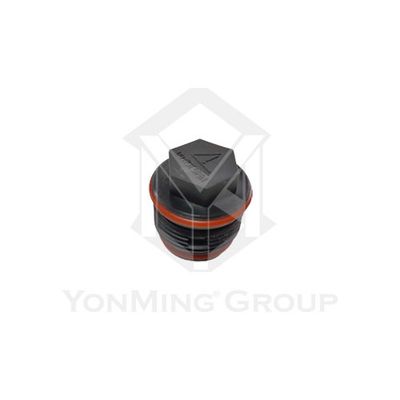 EXPANSION TANK PRESSURE VALVE