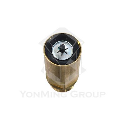 SAFETY VALVE (APS)