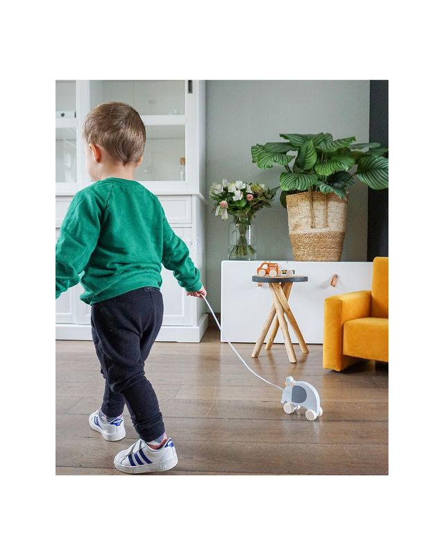 Tryco Baby Elefante da Trainare in Legno Incoraggia il Movimento