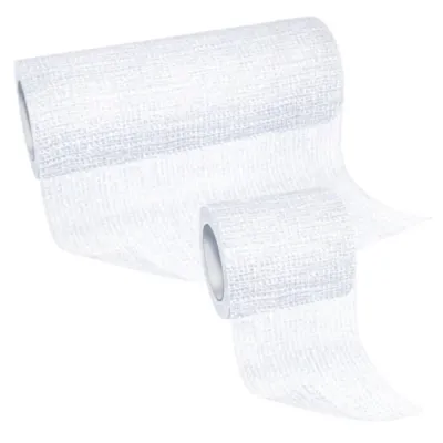 Leukoplast Elastomull Haft Adhesive Bandage Benda da 10 cm x 4 m