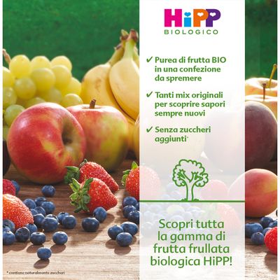 Hipp Frutta Frullata Mela Pera e Frutti di Rossi con Ferro Confezione da 90g