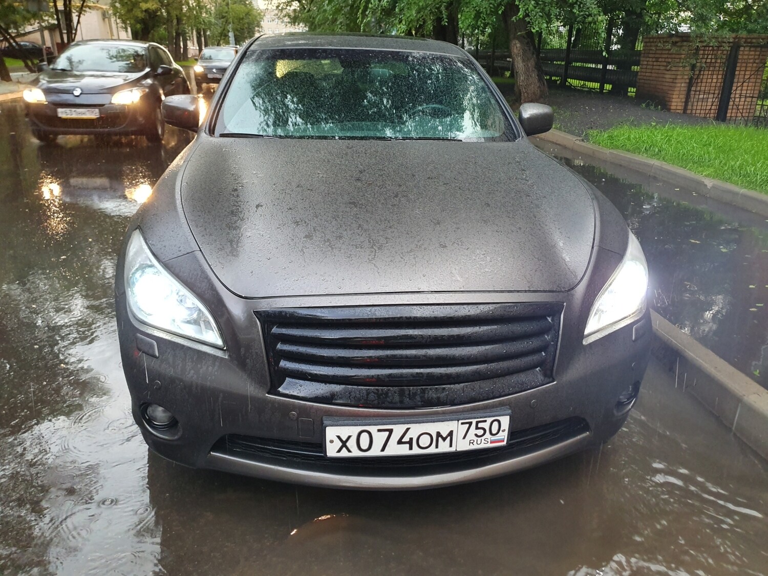 Решетка радиатора без эмблемы Infiniti M25 M37 M56