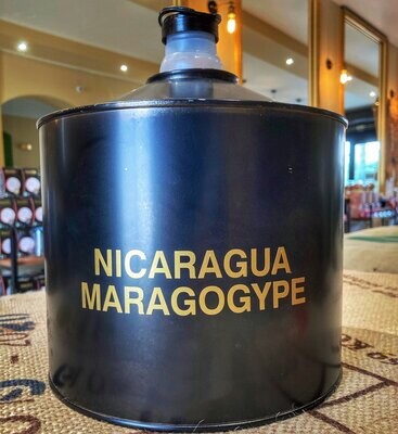 Café Nicaragua Maragogype Prix Kg: