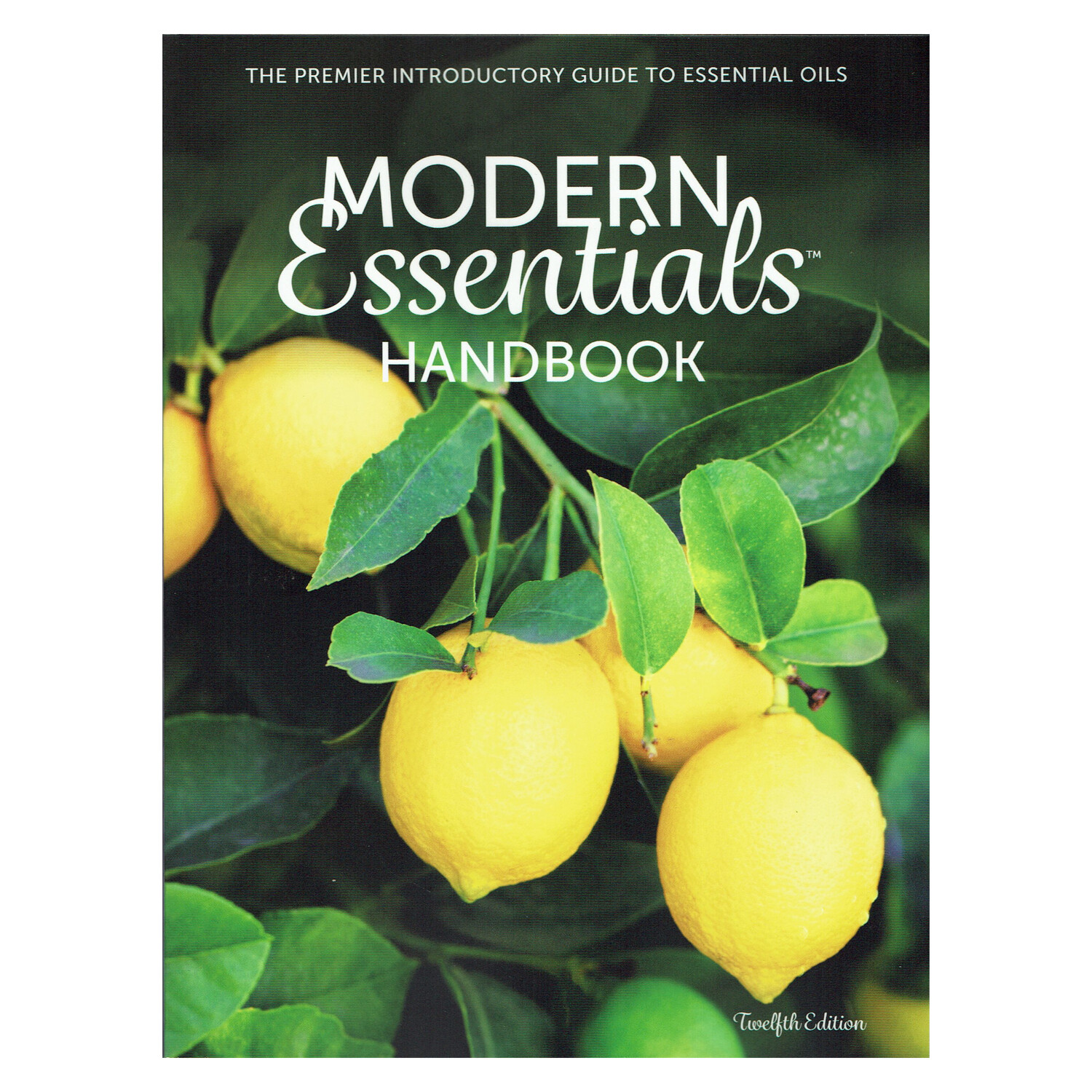 Książka Modern Essential