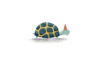 verjaardagskaartje schildpad