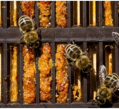 Propolis