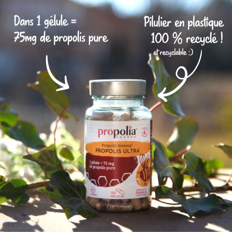 Gélules de Propolis