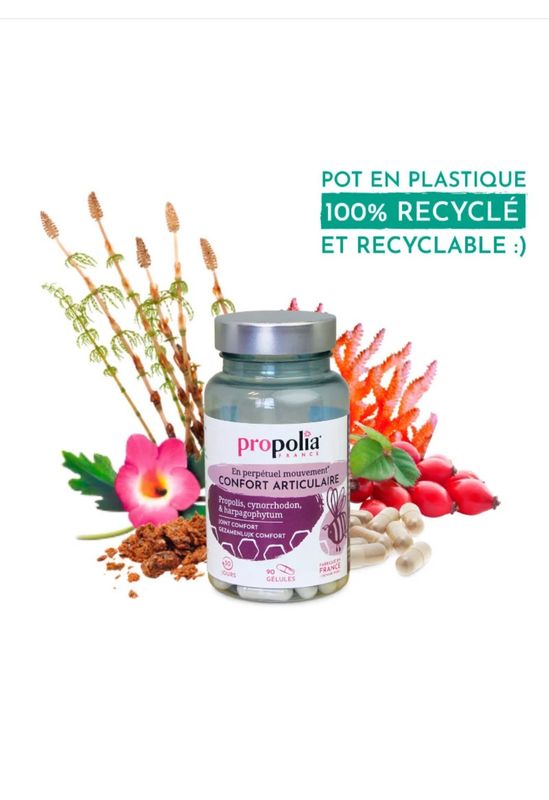 Confort articulaire propolis et cynorrhodon
