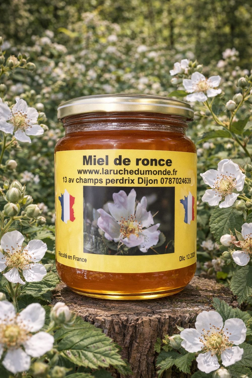 ?? MIel de ronce ?? ?? MIel de ronce ??