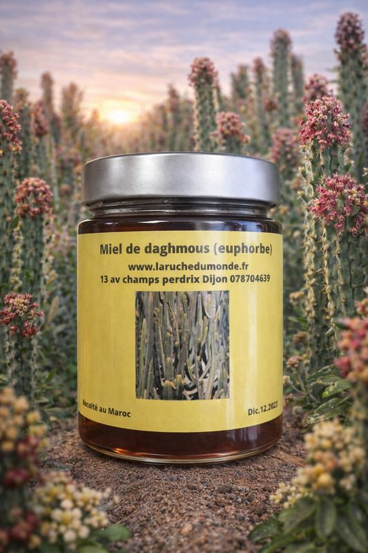 ?? Miel de daghmous  (euphorbe) ??