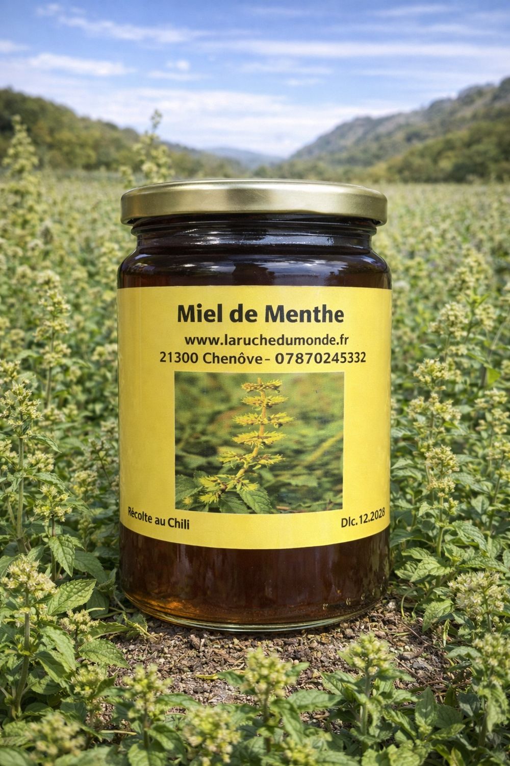 ?? Miel de menthe ??