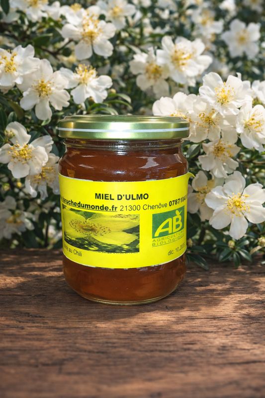?? Miel d'ulmo ??