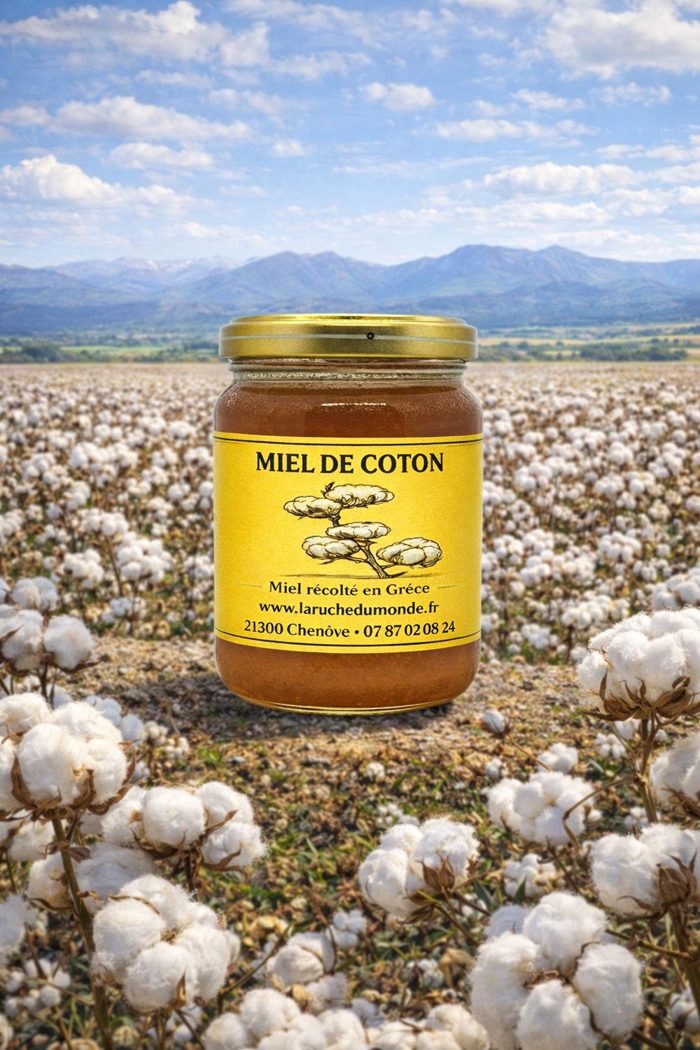 ?? Miel de coton ?? ?? Miel de coton ??