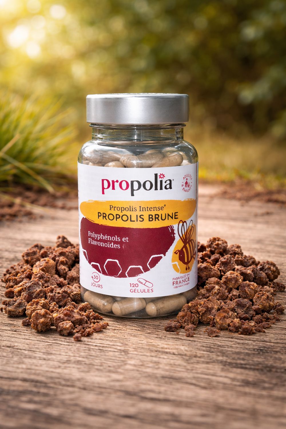 Gélules de Propolis