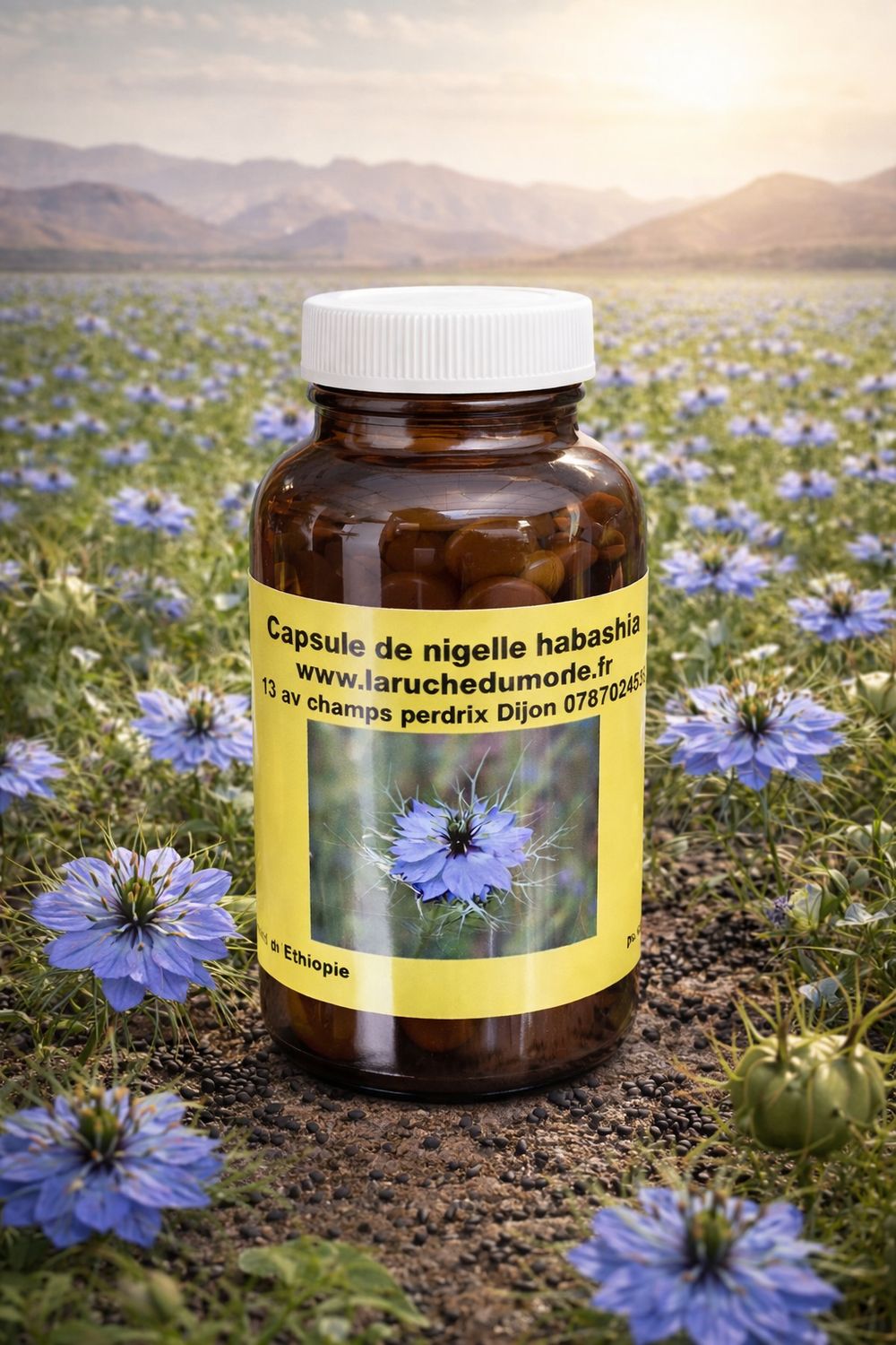 Capsules d'huile de nigelle habashia Capsules d'huile de nigelle habashia