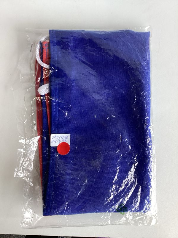 Flagge Oldenburg 100x70