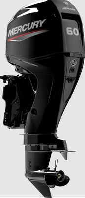 Mercury 40 bis 150 PS