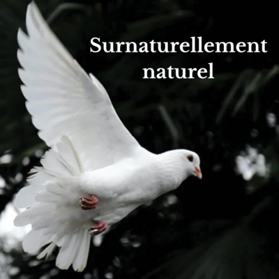 Pack : Surnaturellement naturel