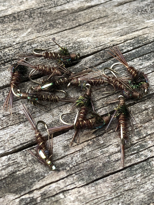 Flashback Pheasant Tail Nymph without Beadhead