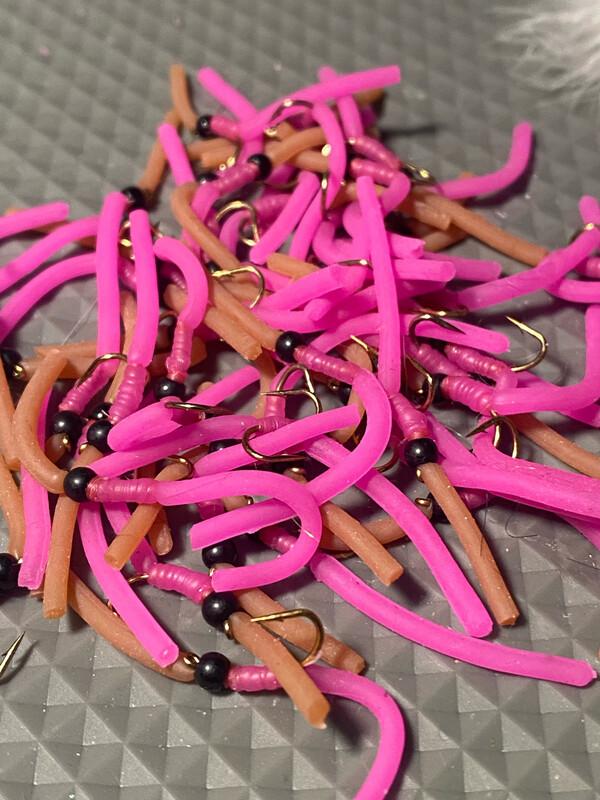 4 Dozen Squirmy Worms