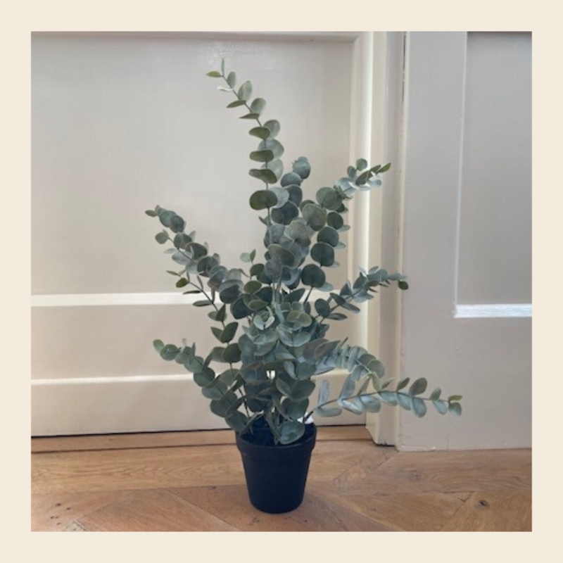 Kunstplant Eucalyptus - S
