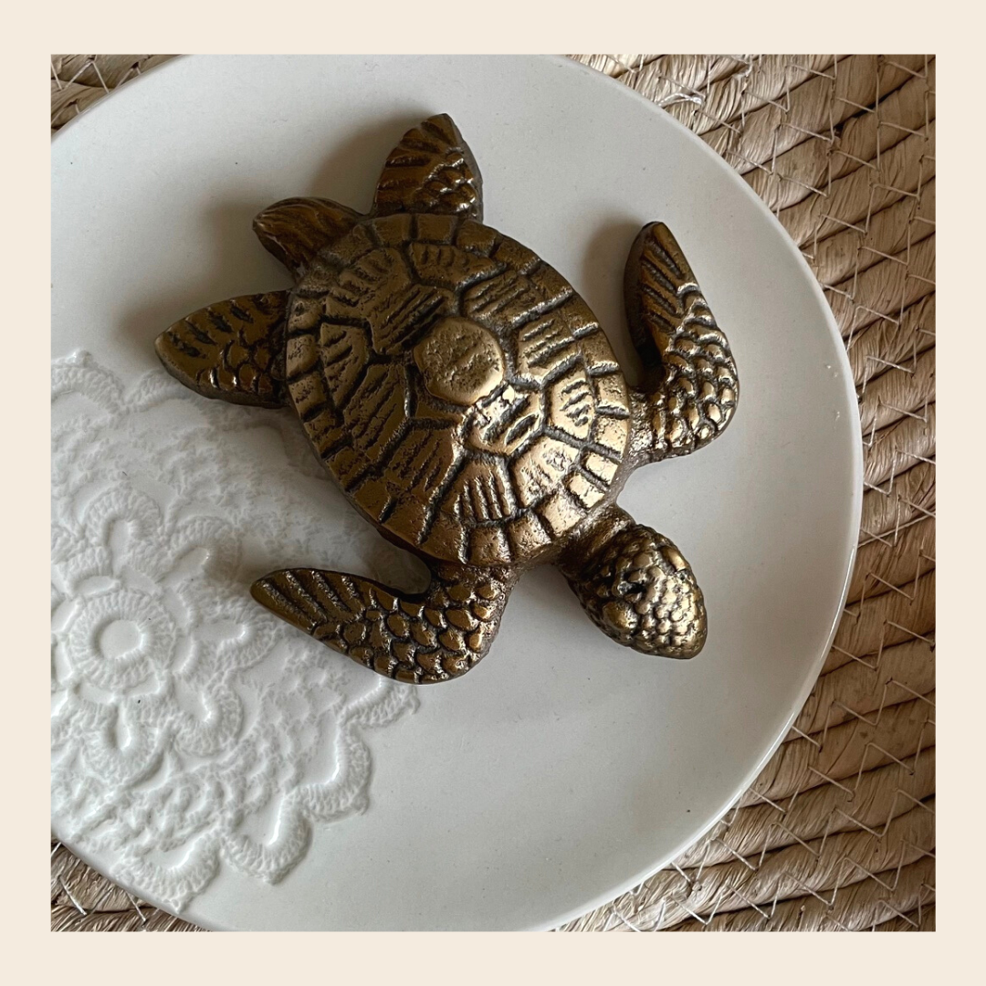 Schildpadje