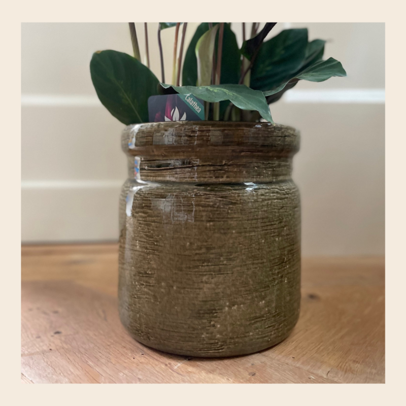 Groene Pot