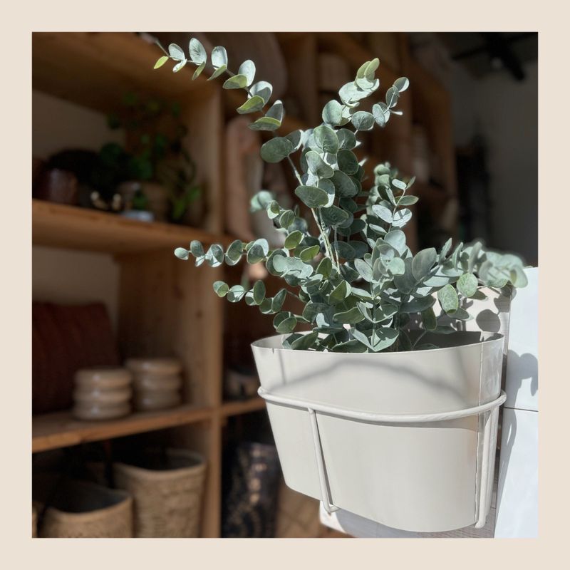 Plantenbak voor aan schutting of balkon