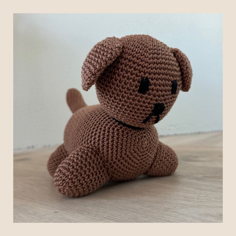 Hondje